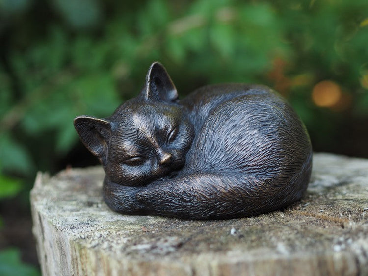 Dieren