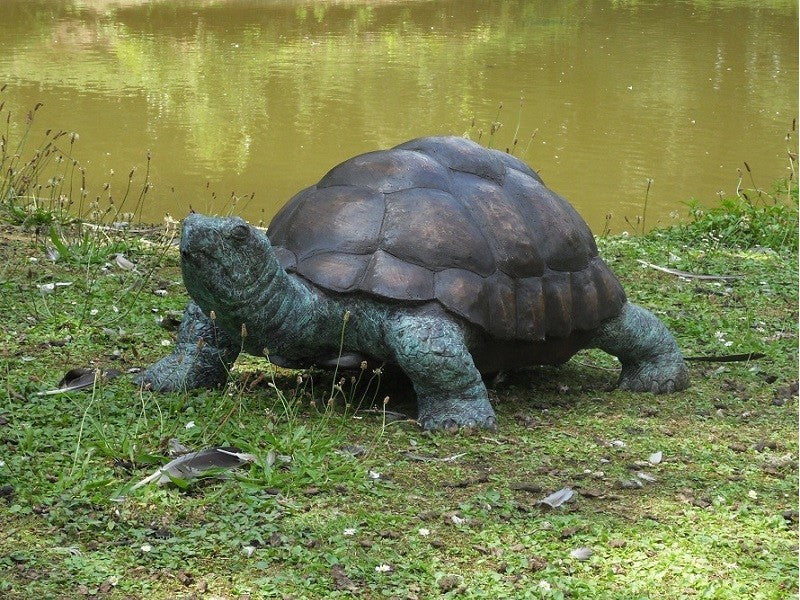 Bronzen schildpad