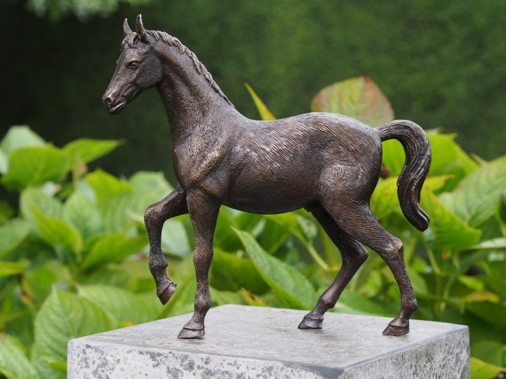 Bronzen Beeld Paard