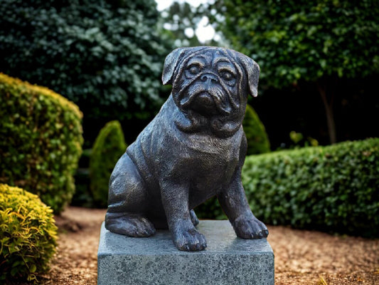 Hond brons