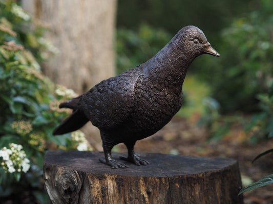 Bronzen beeld duif