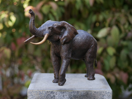 Bronzen Beeld Olifant