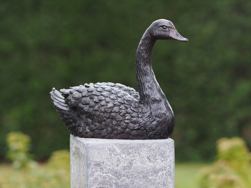 Zwaan Brons