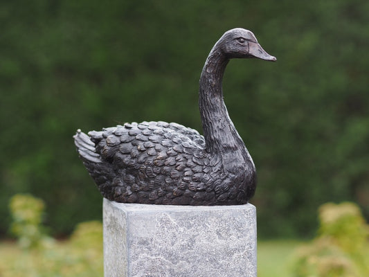 Zwaan Brons