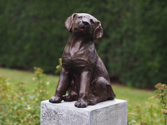 Bronzen hond