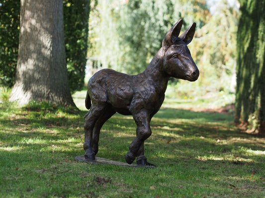 Bronzen beeld ezel