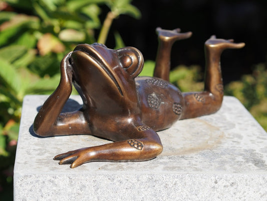 Bronzen kikker