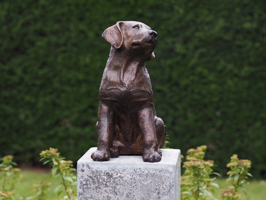 Bronzen hond