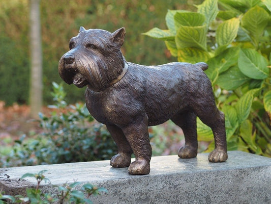 Bronzen honden beelden
