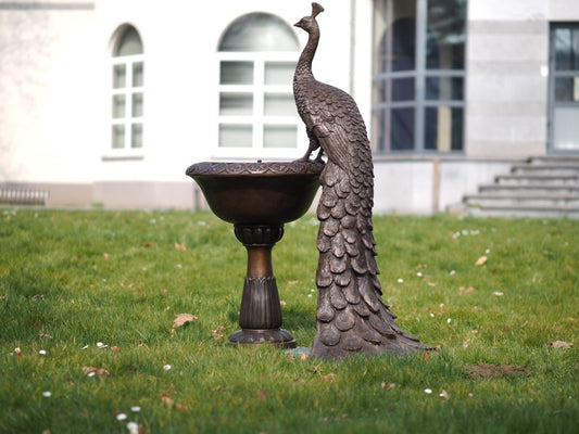Bronzen beeld pauw