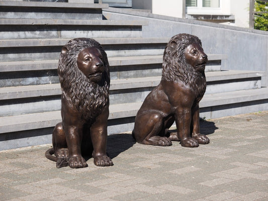 Bronzen leeuwen