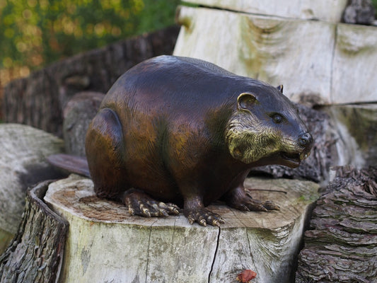 Bronzen bever