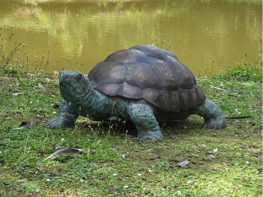 Bronzen schildpad