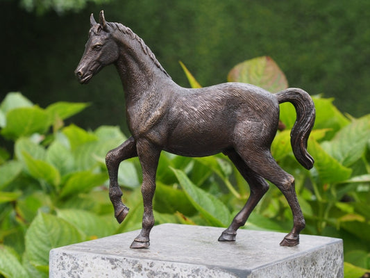 Bronzen Beeld Paard
