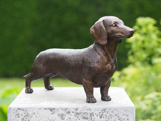 Bronzen beeld teckel